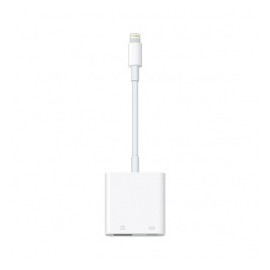 LIGHTNING TO USB3 CAMERA ADAPTER-AME  
                        
                          Disponibles: (0) pzs.  
             