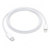 USB-C TO LIGHTNING CABLE (1 M)-AME